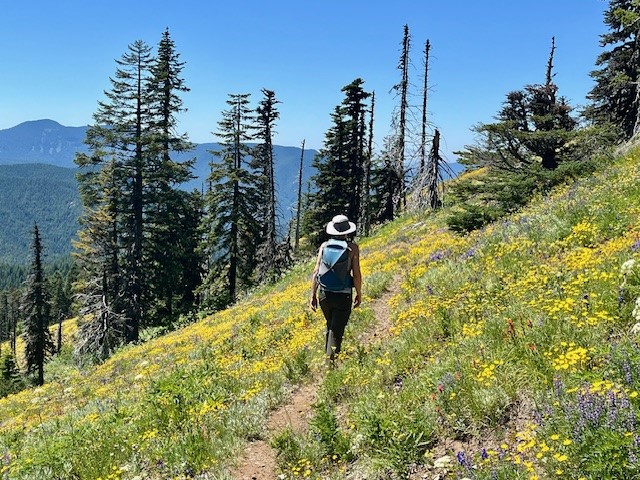 Browder Ridge
