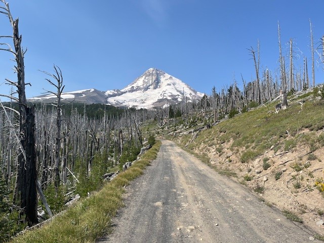Cooper Spur Hike